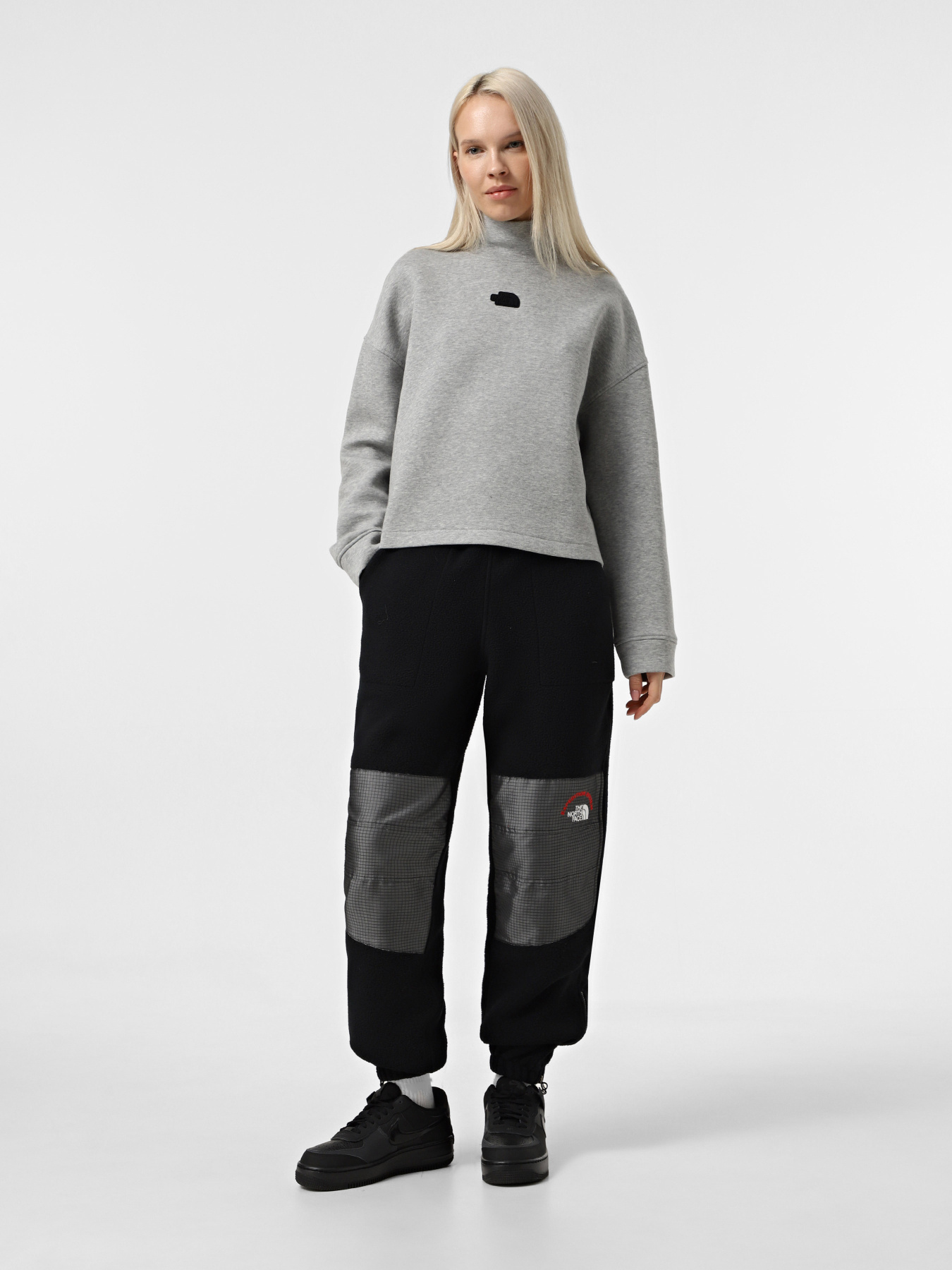 Худи и свитшоты The North Face Mock Neck Relaxed модель NF0A89C1EC41 Худи и свитшоты The North Face Mock Neck Relaxed модель NF0A89C1EC41 Фото