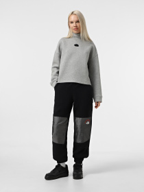 Худи и свитшоты The North Face Mock Neck Relaxed модель NF0A89C1EC41 Фото