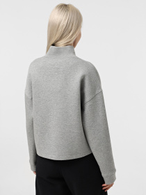 Худи и свитшоты The North Face Mock Neck Relaxed модель NF0A89C1EC41 Фото