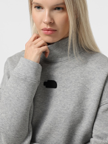 Худи и свитшоты The North Face Mock Neck Relaxed модель NF0A89C1EC41 Фото