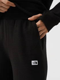 Брюки The North Face Hoden модель NF0A89CHJK31 Фото