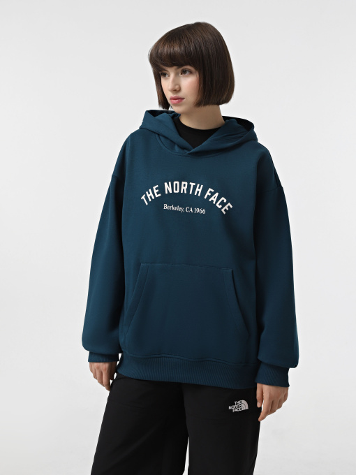 Худи и свитшоты The North Face Graphic модель NF0A89CS1NO1 Фото
