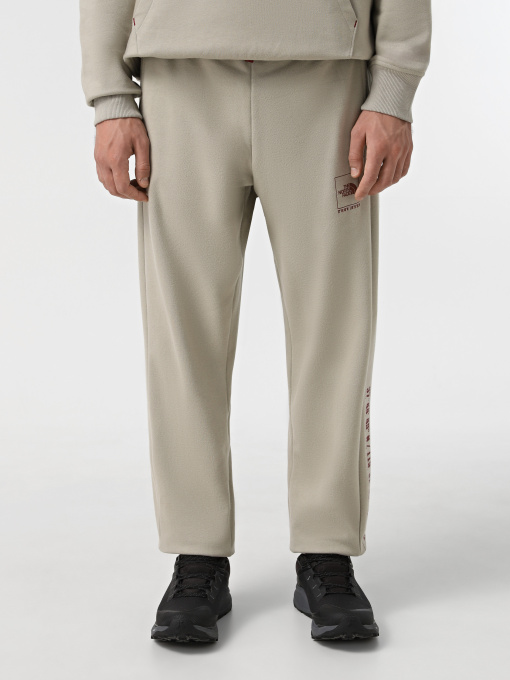 Брюки The North Face Coordinates модель NF0A89DB1I41 Фото