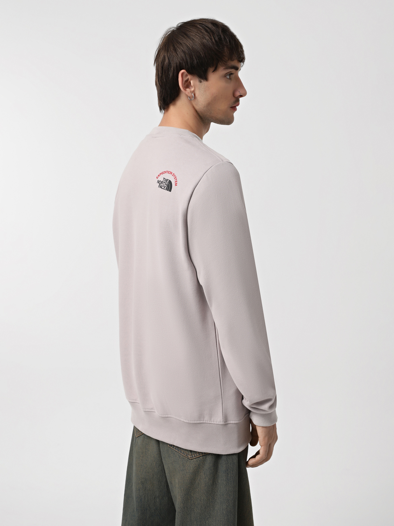 Худи и свитшоты The North Face Crew Expedition System Graphic модель NF0A89DD1OA1 Фото