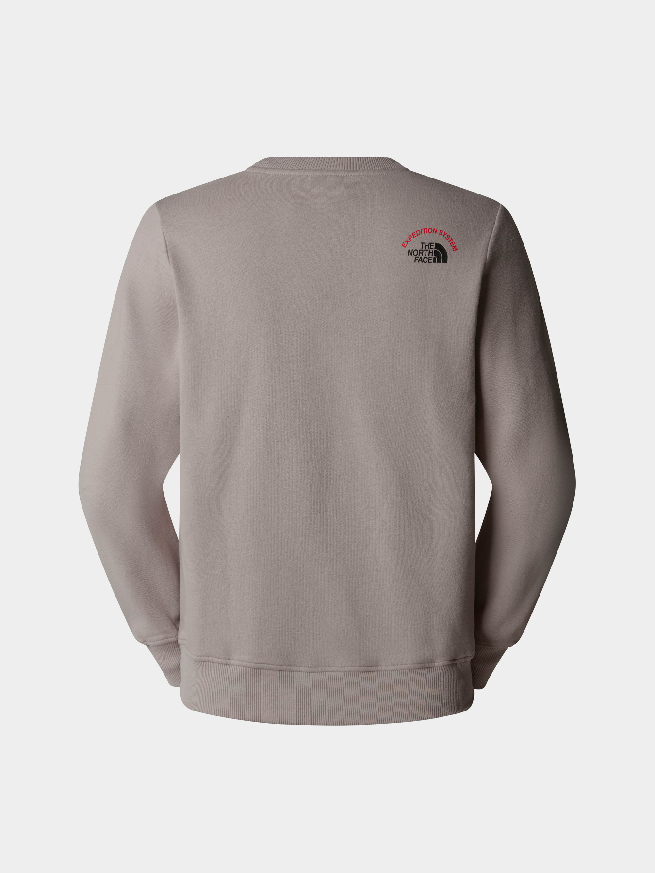 Худи и свитшоты The North Face Crew Expedition System Graphic модель NF0A89DD1OA1 Фото