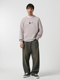 Худи и свитшоты The North Face Crew Expedition System Graphic модель NF0A89DD1OA1 Фото