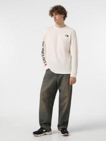 Худі та світшоти The North Face Varsity Graphic модель NF0A89DHQLI1 Фото