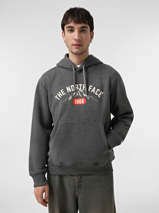 Худі та світшоти The North Face Varsity Graphic модель NF0A89DJDYY1 Фото