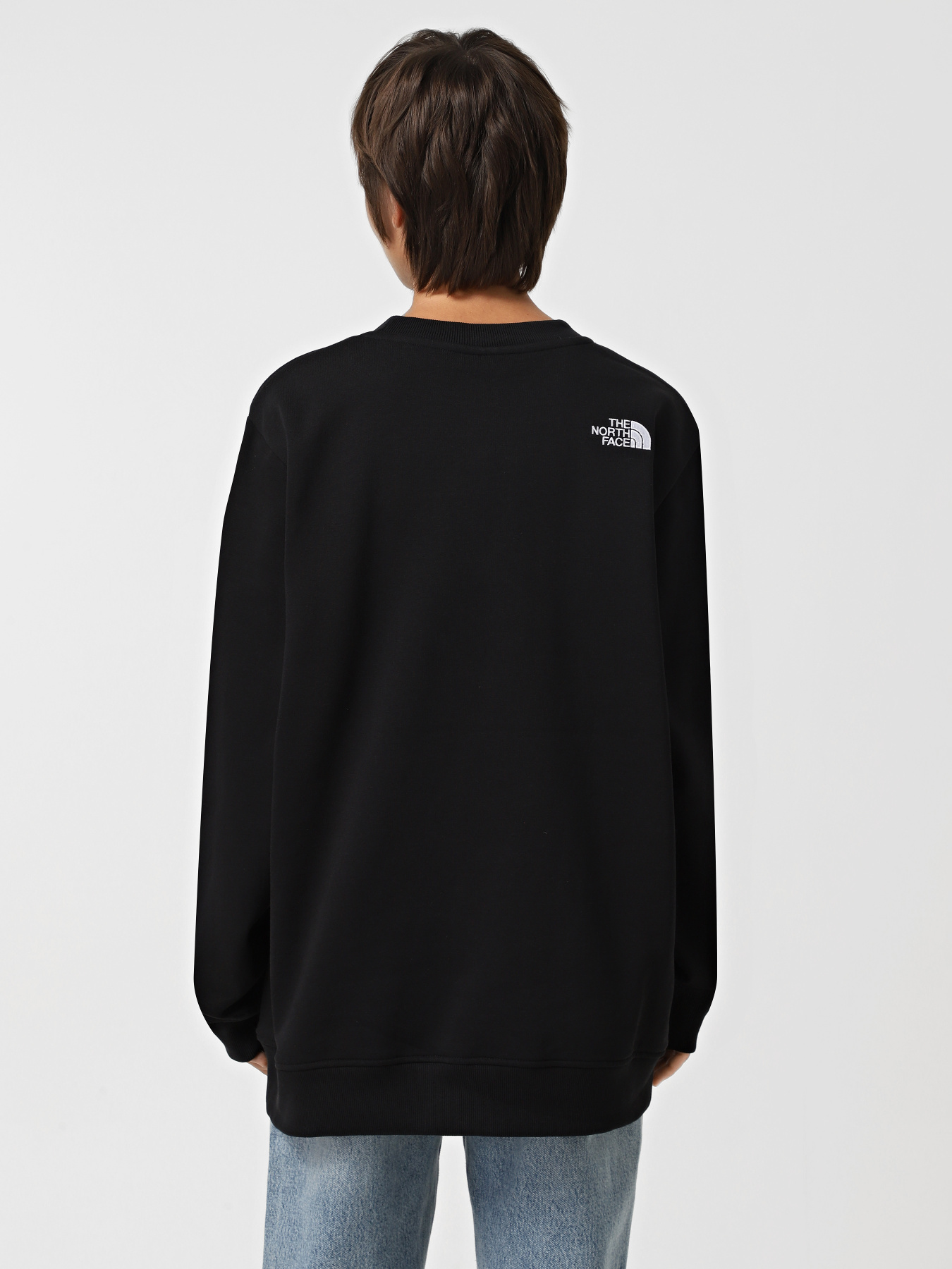 Худи и свитшоты The North Face Drew Peak Crew модель NF0A89EFJK31 Фото