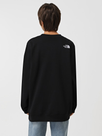 Худи и свитшоты The North Face Drew Peak Crew модель NF0A89EFJK31 Фото