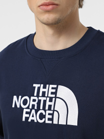 Худи и свитшоты The North Face Drew Peak модель NF0A89EK8K21 Фото
