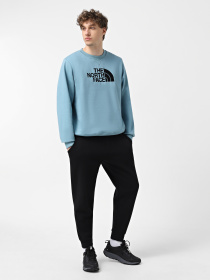 Худи и свитшоты The North Face Drew Peak модель NF0A89EK1OM1 Фото