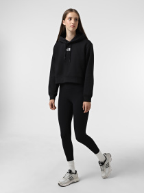 Худи и свитшоты The North Face Essential модель NF0A89EXJK31 Фото