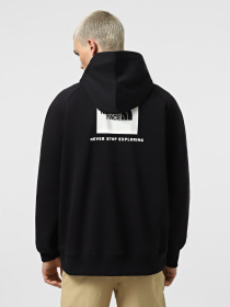 Худи и свитшоты The North Face Raglan Box Nse модель NF0A89F9KY41 Фото