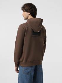 Худі та світшоти The North Face Raglan Redbox модель NF0A89F91OI1 Фото
