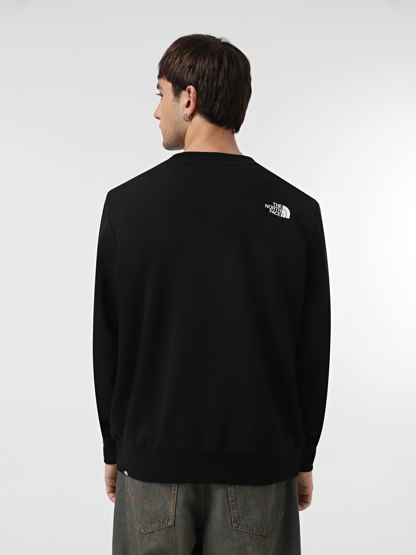 Худи и свитшоты The North Face Simple Dome Crew  модель NF0A89FBJK31 Фото