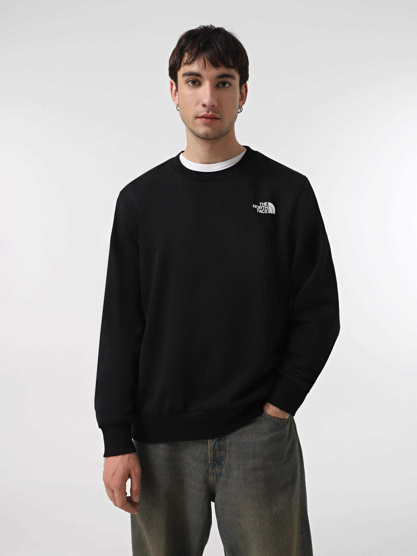 Худи и свитшоты The North Face Simple Dome Crew  модель NF0A89FBJK31 Фото