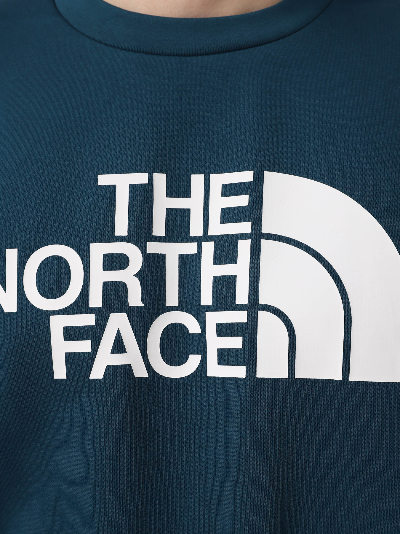 Худи и свитшоты The North Face Easy модель NF0A89FG1NO1 Худи и свитшоты The North Face Easy модель NF0A89FG1NO1 Фото
