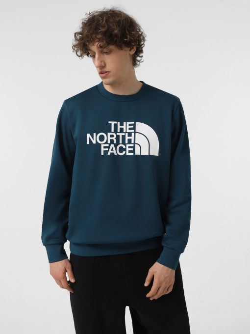 Худи и свитшоты The North Face Easy модель NF0A89FG1NO1 Фото