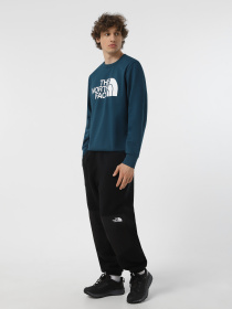 Худи и свитшоты The North Face Easy модель NF0A89FG1NO1 Фото