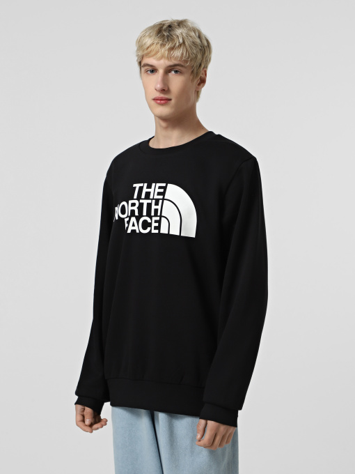 Худи и свитшоты The North Face Easy модель NF0A89FGJK31 Фото