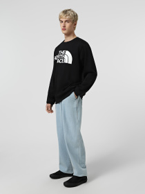Худі та світшоти The North Face Easy модель NF0A89FGJK31 Фото