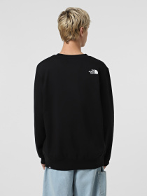 Худі та світшоти The North Face Easy модель NF0A89FGJK31 Фото