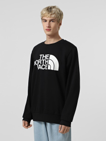 Худи и свитшоты The North Face Easy модель NF0A89FGJK31 Фото