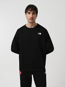 Худи и свитшоты The North Face Axys модель NF0A89G0JK31 Фото
