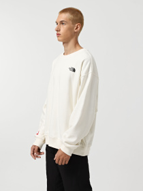 Худи и свитшоты The North Face Axys модель NF0A89G0QLI1 Фото