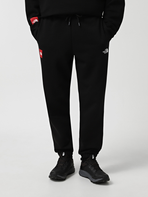 Брюки The North Face Axys модель NF0A89G2JK31 Фото