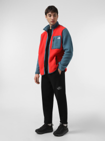Брюки The North Face Drew Peak модель NF0A8A6BJK31 Фото