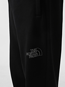 Брюки The North Face Drew Peak модель NF0A8A6BJK31 Фото