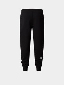Брюки The North Face Drew Peak модель NF0A8A6BJK31 Фото