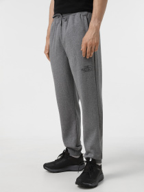 Штани The North Face Drew Peak модель NF0A8A6BDYY1 Фото
