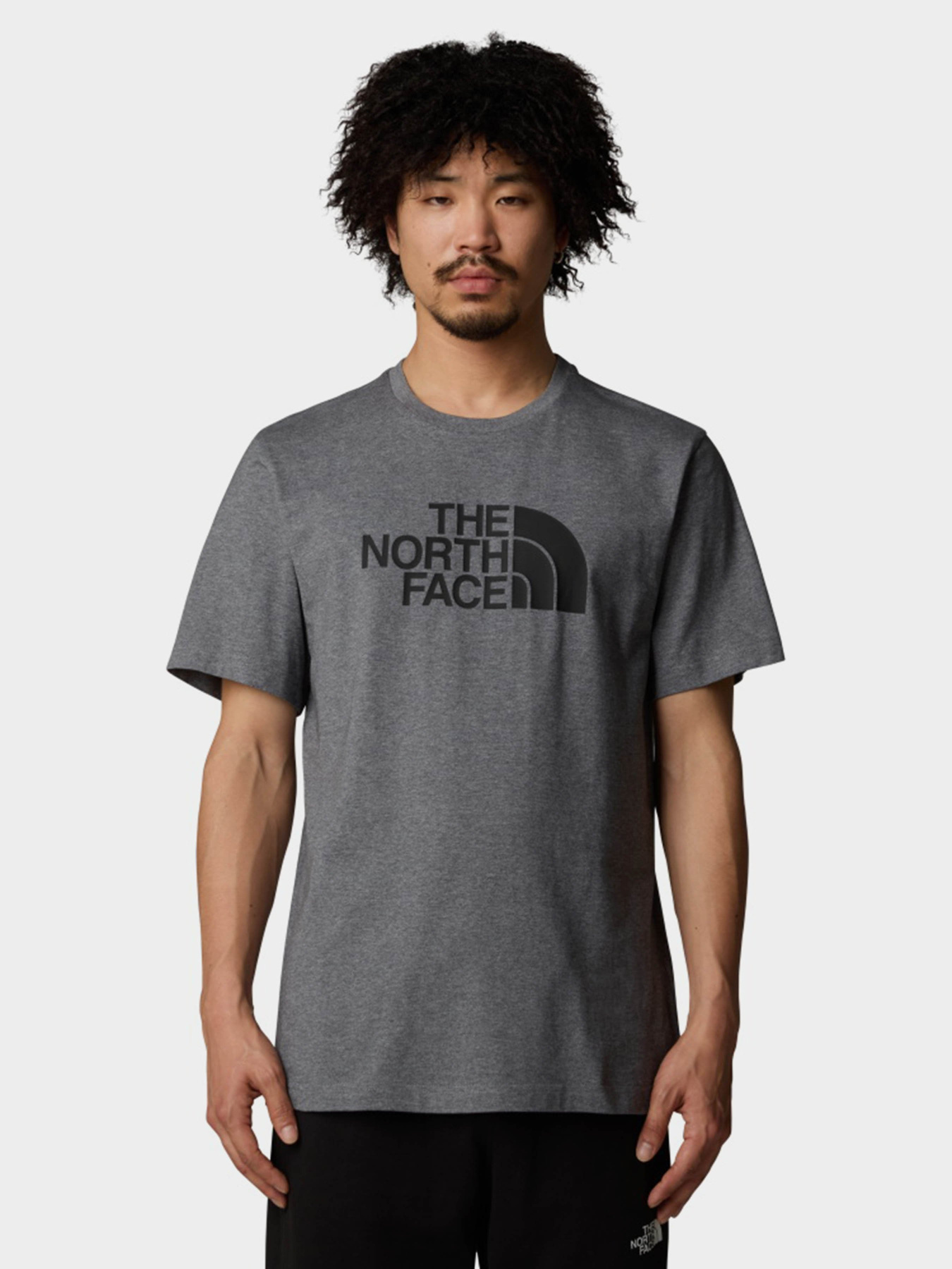 Футболки і поло The North Face Easy модель NF0A8A6CDYY1 Футболки і поло The North Face Easy модель NF0A8A6CDYY1 Фото