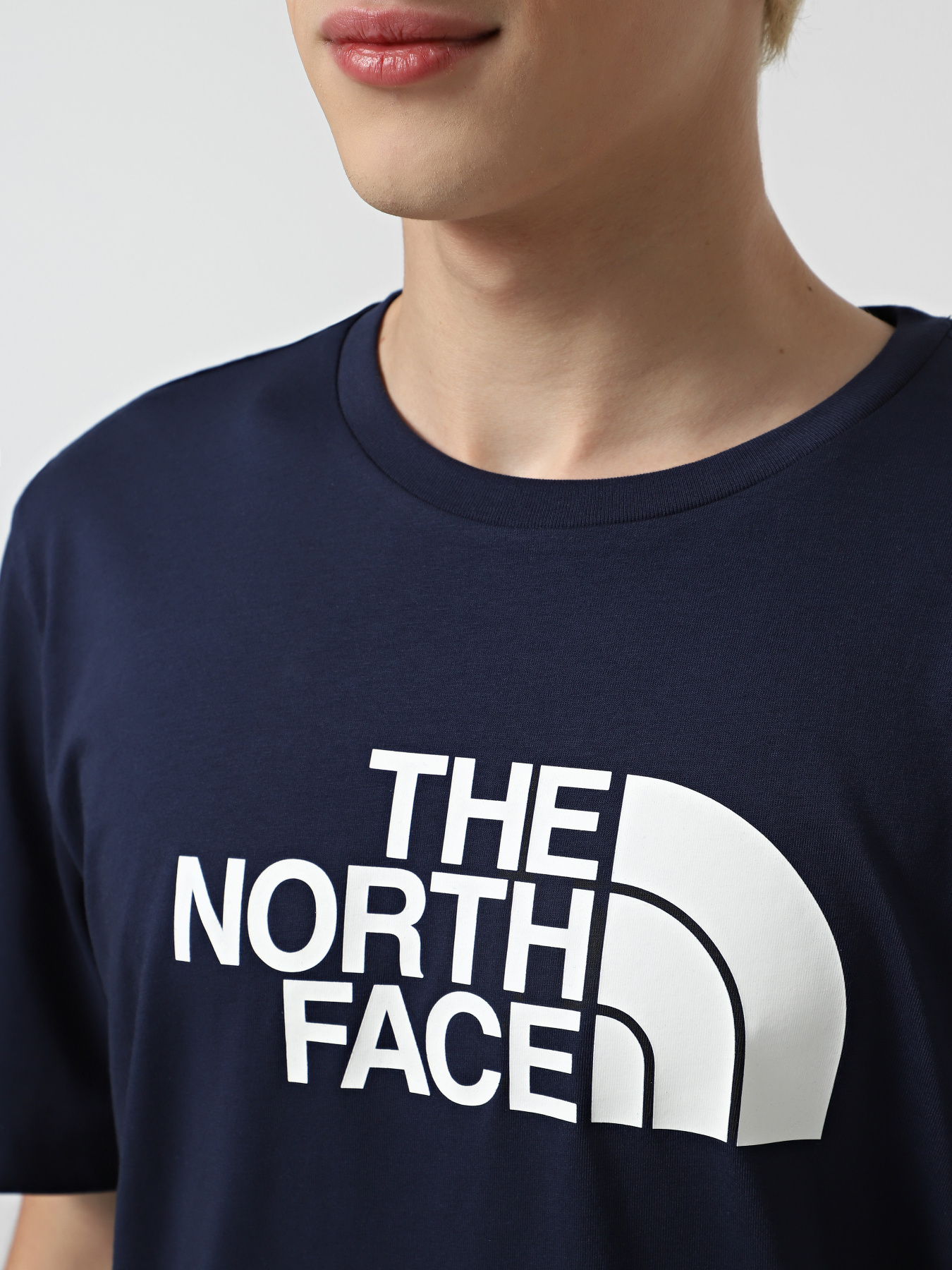 Футболки і поло The North Face Easy модель NF0A8A6C8K21 Футболки і поло The North Face Easy модель NF0A8A6C8K21 Фото