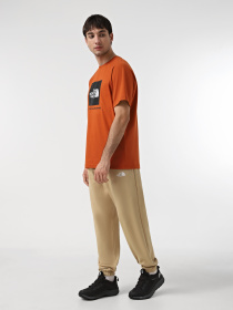 Брюки The North Face Essential модель NF0A8A6JLK51 Фото