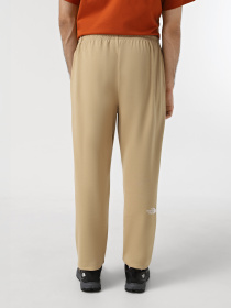 Брюки The North Face Essential модель NF0A8A6JLK51 Фото