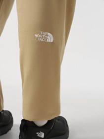 Брюки The North Face Essential модель NF0A8A6JLK51 Фото