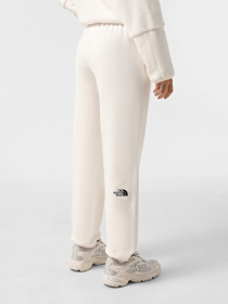 Брюки The North Face Essential модель NF0A8A6KQLI1 Фото