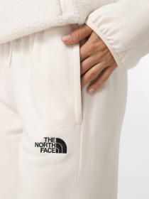Брюки The North Face Essential модель NF0A8A6KQLI1 Фото