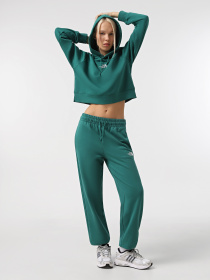 Брюки The North Face Essential модель NF0A8A6KNL11 Фото