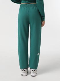 Брюки The North Face Essential модель NF0A8A6KNL11 Фото