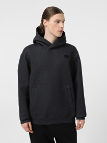 Худі та світшоти The North Face Pull-On модель NF0A8AMBKS71 Фото