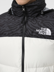 Куртки и дубленки The North Face 1996 Retro Nuptse модель NF0A3C8D5IX1 Фото
