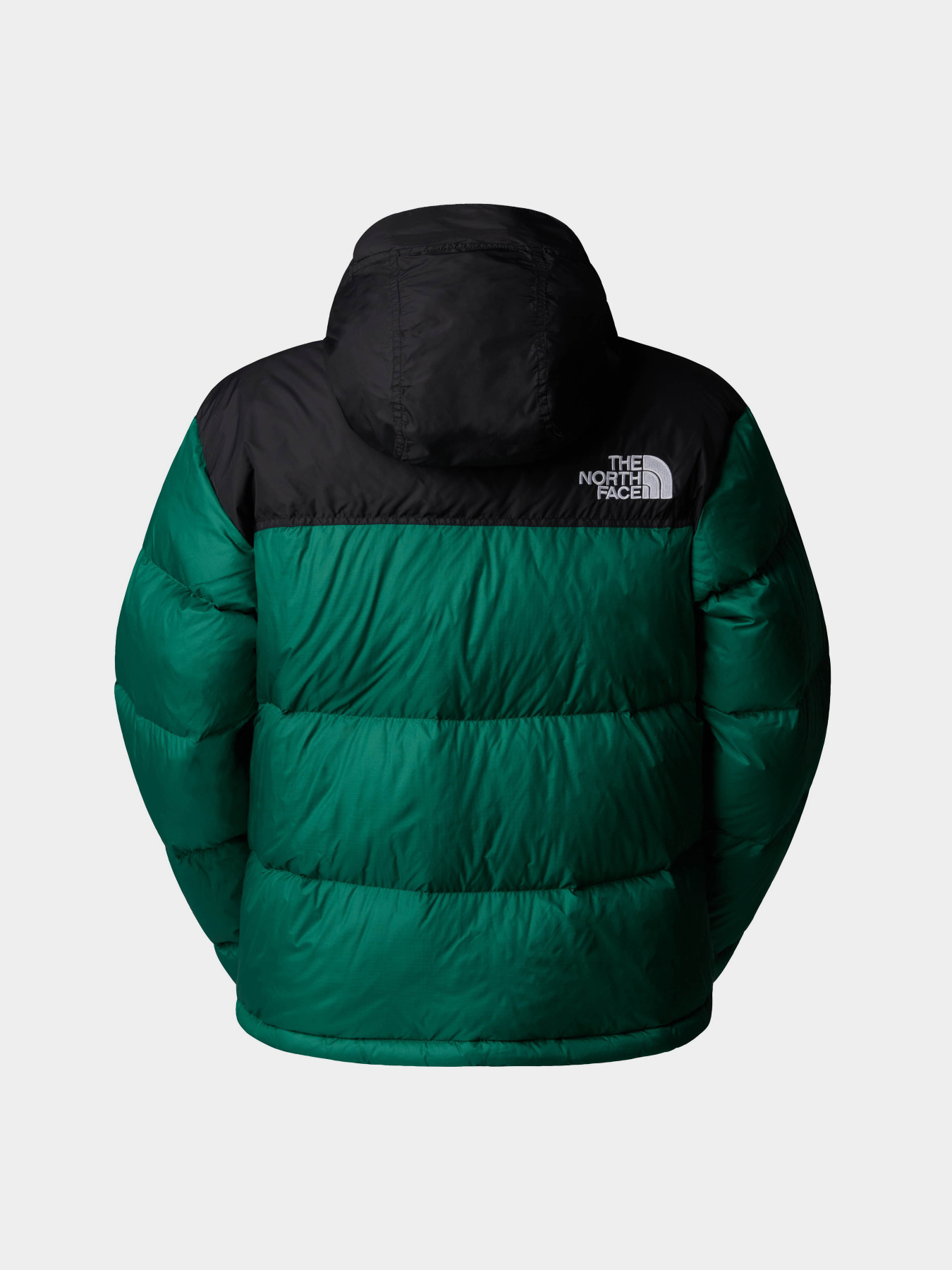 Куртки та дублянки The North Face 1996 Retro Nuptse модель NF0A3XEONL11 Фото