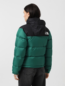 Куртки та дублянки The North Face 1996 Retro Nuptse модель NF0A3XEONL11 Фото