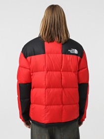 Куртки та дублянки The North Face Lhotse модель NF0A3Y236821 Фото