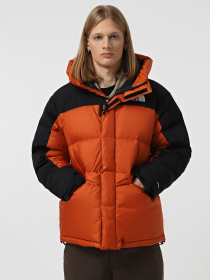 Куртки и дубленки The North Face Hmlyn Down модель NF0A4QYX5PO1 Фото